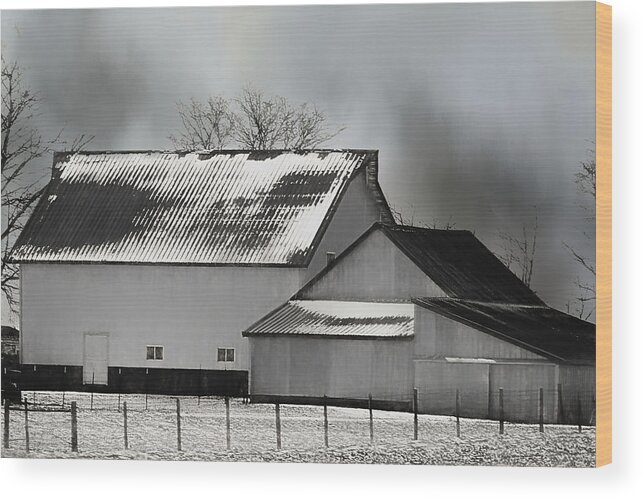 Photography Wood Print featuring the photograph It's Cold Out There by Theresa Campbell