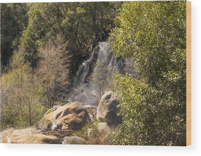 Feather River Wood Print featuring the photograph Jackass Falls by Frank Wilson