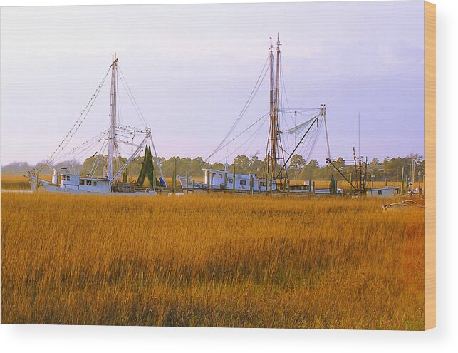 James Island Wood Print featuring the photograph James Island by Charles Harden