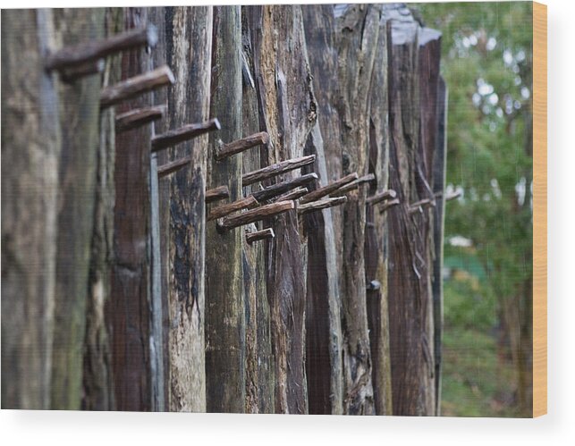 Fort Wood Print featuring the photograph Jamestown Fort Wall by Mark Currier