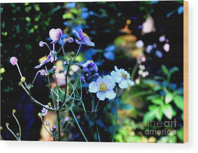 Nature Wood Print featuring the photograph Japanese Anemone in the Afternoon Light by Tatyana Searcy