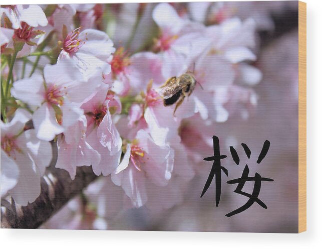 Landscape Wood Print featuring the photograph Japanese Cherry Tree One by Morgan Carter