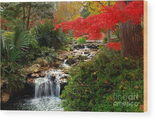 Landscape Wood Print featuring the photograph Japanese Garden Brook by Jon Holiday