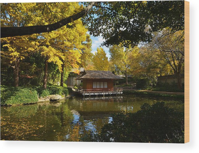 Teahouse Wood Print featuring the photograph Japanese Gardens 2541a by Ricardo J Ruiz de Porras