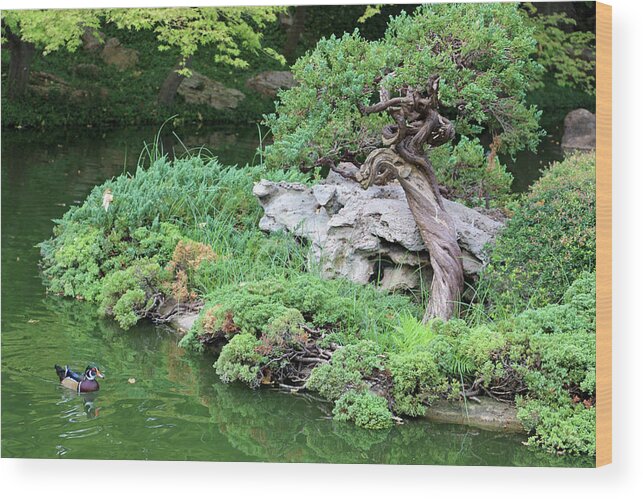 Japanese Garden Wood Print featuring the photograph Japanese Gardens - Saturday Afternoon 01 by Pamela Critchlow
