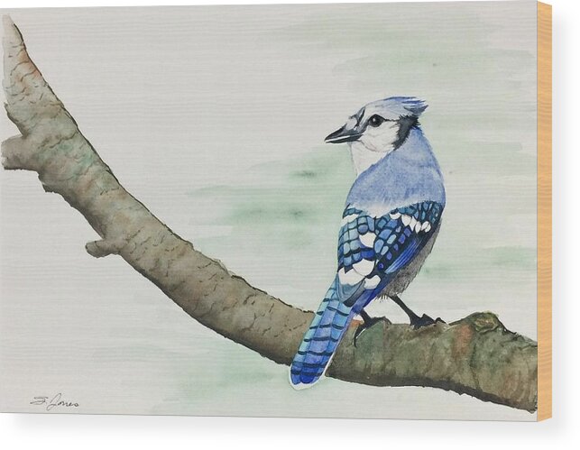 Blue Jay Wood Print featuring the painting Jay in the Pine by Sonja Jones
