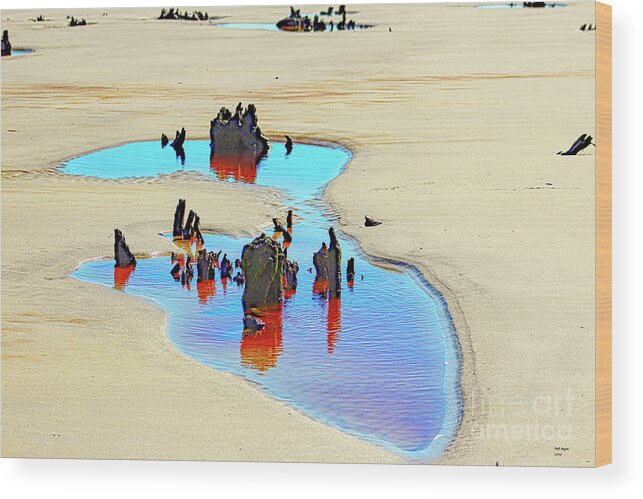 Nature Wood Print featuring the photograph Jekyll Driftwood Beach Puddle by DB Hayes