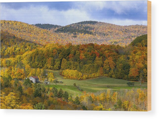 Jenne Farm Wood Print featuring the photograph Jenne Farms Neighbor Reading VT by Betty Denise