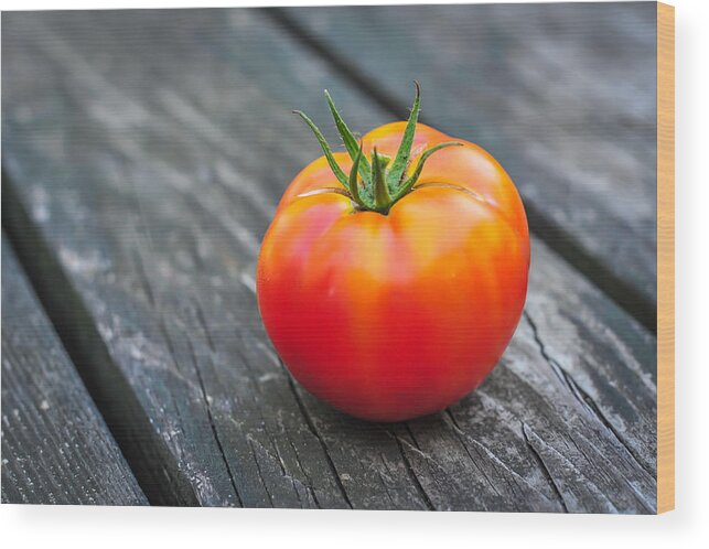 Terry Deluco Wood Print featuring the photograph Jersey Fresh Garden Tomato by Terry DeLuco