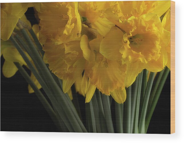 Flowers Wood Print featuring the photograph Jonquils by Mike Eingle