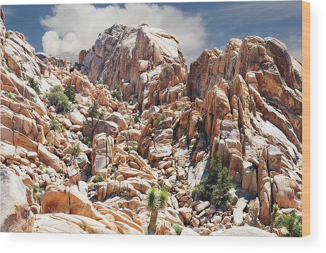 Joshua Tree National Park Wood Print featuring the photograph Joshua Tree National Park - Natural Monument by Glenn McCarthy Art and Photography