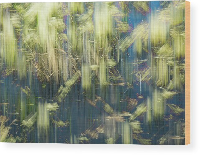 Intentional Camera Movement Wood Print featuring the photograph Jump And Flash by Deborah Hughes
