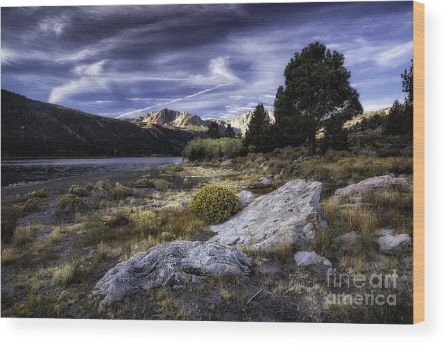 California Wood Print featuring the photograph June Lake Shore by Timothy Hacker