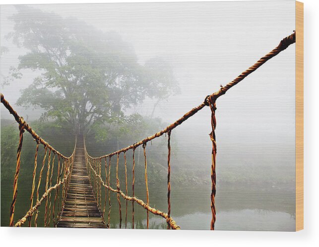 Rope Bridge Wood Print featuring the photograph Jungle Journey by Skip Nall