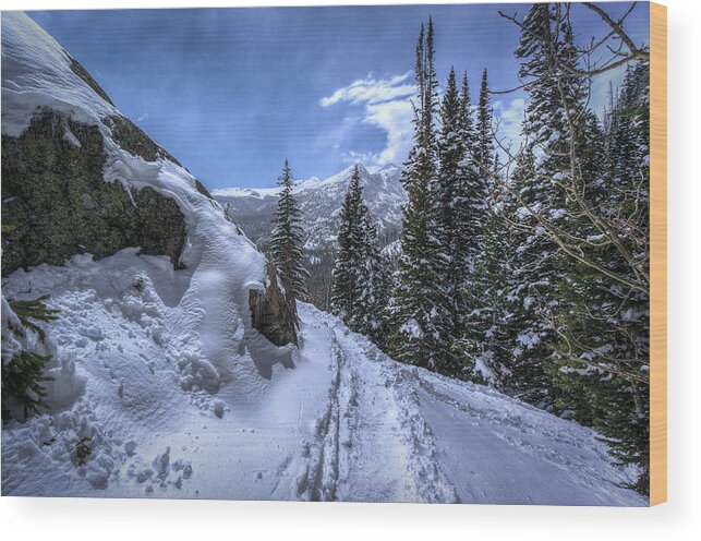 Rocky Mountain National Park Wood Print featuring the photograph Just Around the Bend by David Dedman