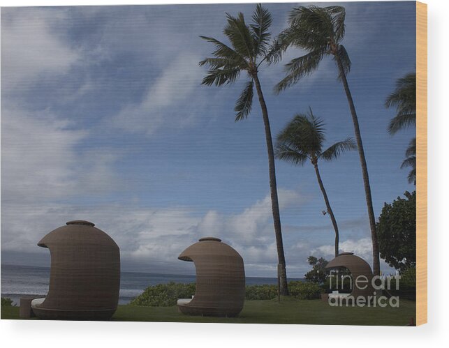 Kaanapali Shores Wood Print featuring the photograph Kaanapali Shores by Ivete Basso Photography