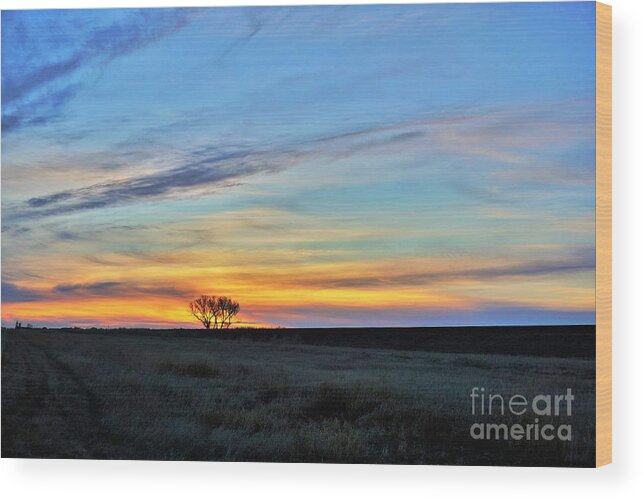 Tree Wood Print featuring the photograph Kansas sunrise1 by Merle Grenz