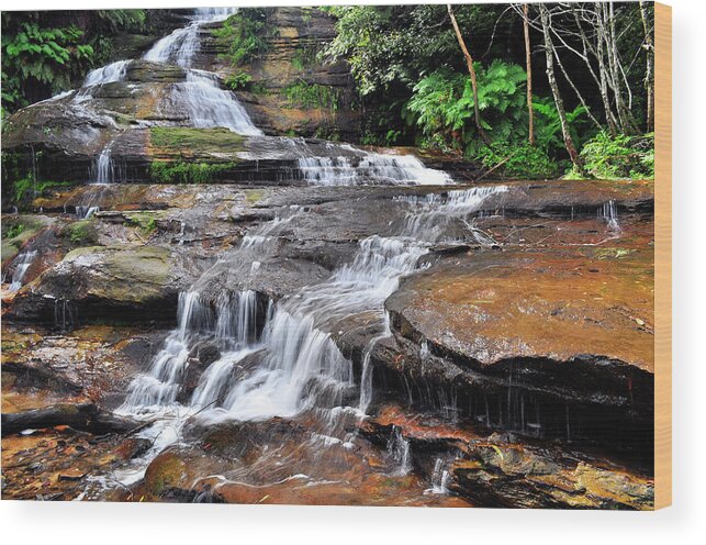 Landscape Wood Print featuring the photograph Katoomba Cascades by Terry Everson