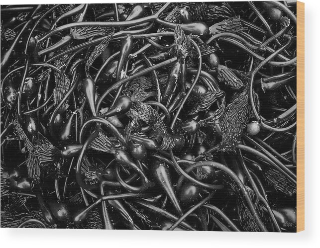 Kelp Wood Print featuring the photograph Kelp II BW by David Gordon