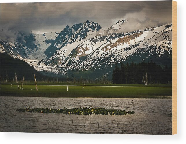 Alaska Wood Print featuring the photograph Kenai Peninsula by Benjamin Dahl