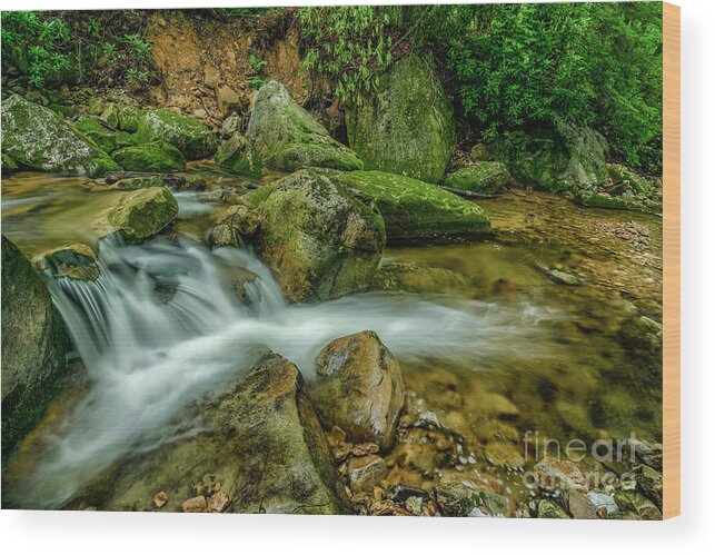 Kens Creek Wood Print featuring the photograph Kens Creek in Cranberry Wilderness by Thomas R Fletcher