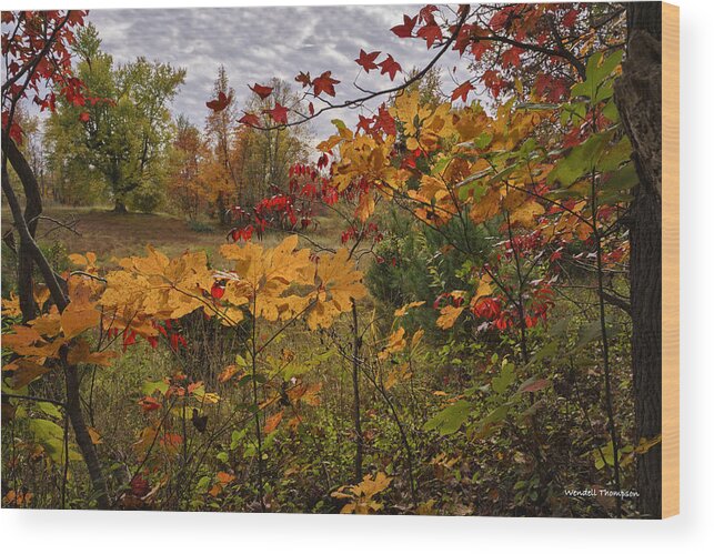 Kentucky Wood Print featuring the photograph Kentucky Fall Colors by Wendell Thompson