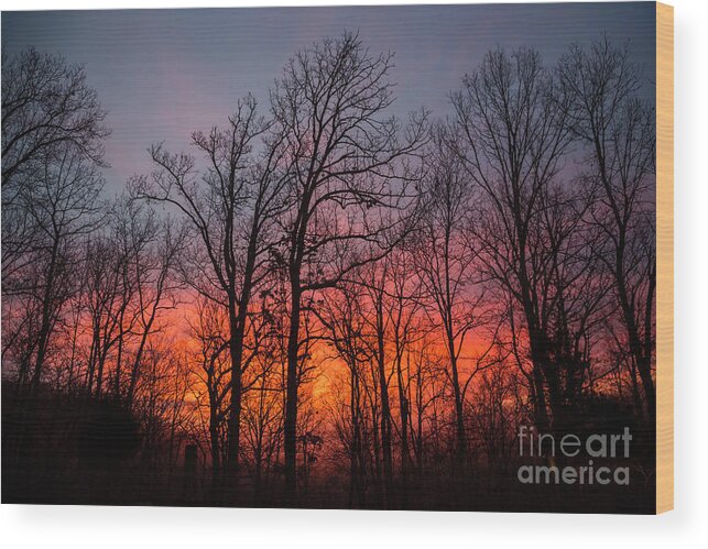 Sun Wood Print featuring the photograph Kentucky Sunrise by Jim West