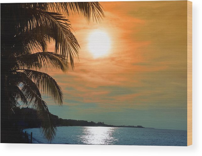 Key West Wood Print featuring the photograph Key West Florida by Bill Cannon