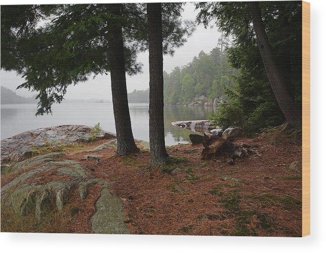 Killarney Provincial Park Wood Print featuring the photograph Killarney Scenic-1 by Steve Somerville