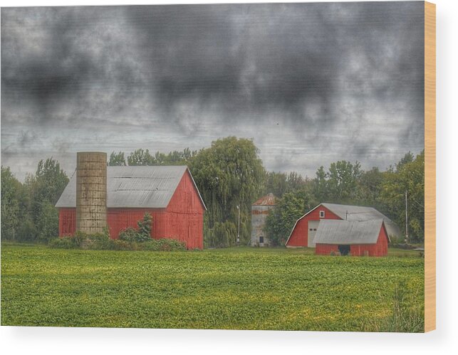 Barn Wood Print featuring the photograph 0022 - Kingston Road Red Trio I by Sheryl L Sutter