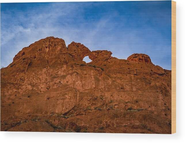 Blue Sky Wood Print featuring the photograph Kissing Camels in the Gardens by Ron Pate