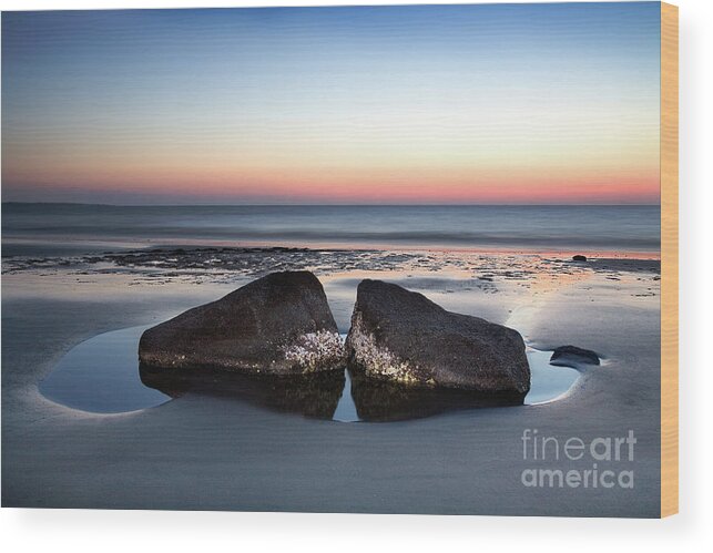 Jekyll Island Wood Print featuring the photograph Kissing Rocks by Patti Schulze