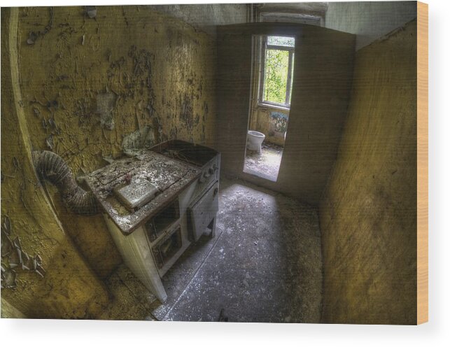Abandoned Wood Print featuring the photograph Kitchen with a loo by Nathan Wright