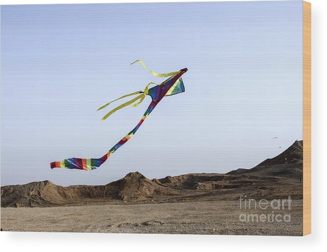 Joy Wood Print featuring the photograph Kite Dancing In Desert 03 by Arik Baltinester