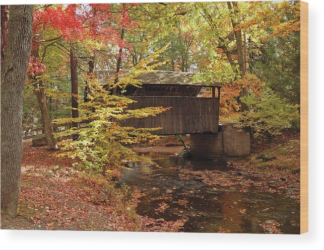 Knoebels Groves Bridge Wood Print featuring the photograph Knoebels Groves Bridge by Ben Prepelka