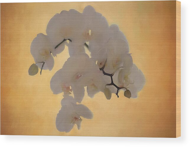 Orchids Wood Print featuring the photograph La Dolce Vita by Kate Hannon