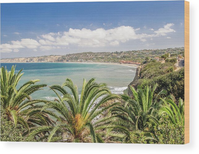 La Jolla Wood Print featuring the photograph La Jolla Views by Shuwen Wu