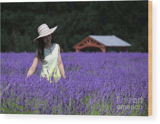 Lady In Lavender Wood Print featuring the photograph Lady in Lavender by Julia Gavin