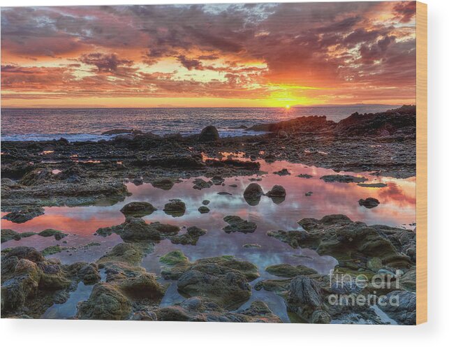 Laguna Wood Print featuring the photograph Laguna Beach Tidepools at Sunset by Eddie Yerkish