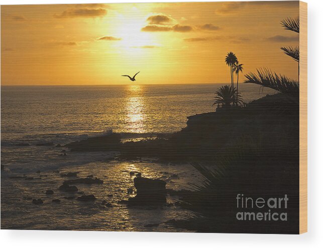 Wall Art Wood Print featuring the photograph Laguna Sunset by Kelly Holm