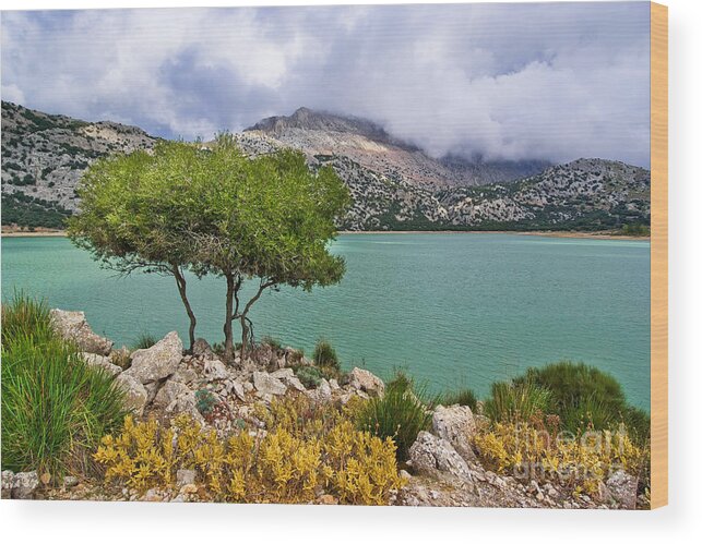 Clouds Wood Print featuring the photograph Lake Cuber by Alexander Kunz