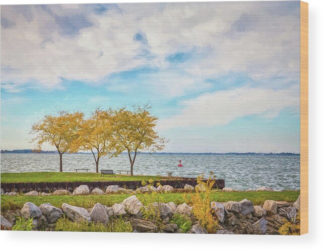 Landscape Wood Print featuring the photograph Lake Erie Musings by John M Bailey