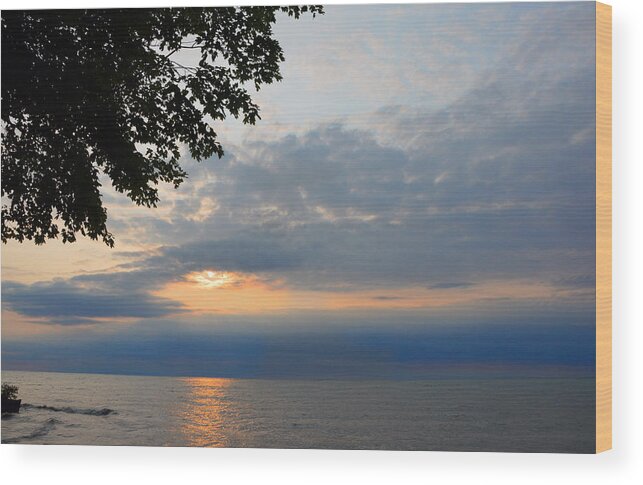 Lake Erie Wood Print featuring the photograph Lake Erie Sunset by Lena Wilhite