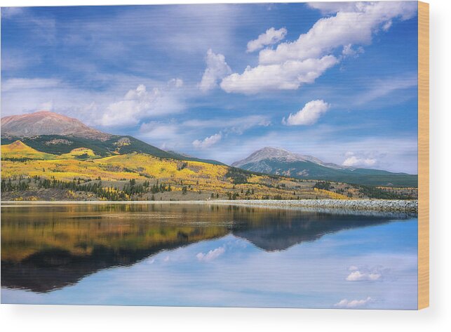 Aspens Wood Print featuring the photograph Lake Forebay Reflections by Tim Reaves