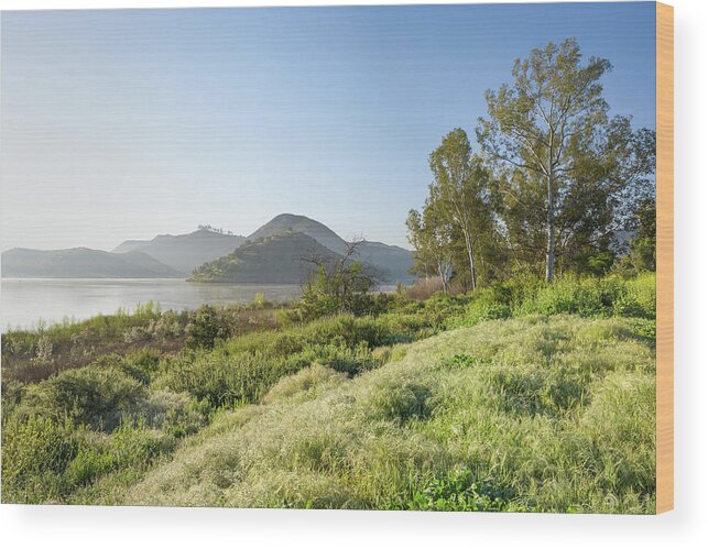 California Wood Print featuring the photograph Lake Hodges - Fletcher Point by Alexander Kunz