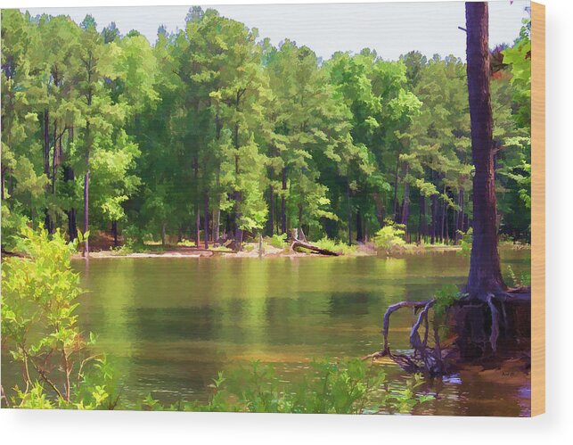 Landscape Wood Print featuring the photograph Lake Landscape by Roberta Byram