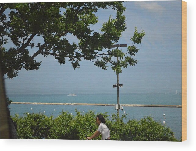 Tree Wood Print featuring the photograph Lake Michigan by Michelle Hoffmann