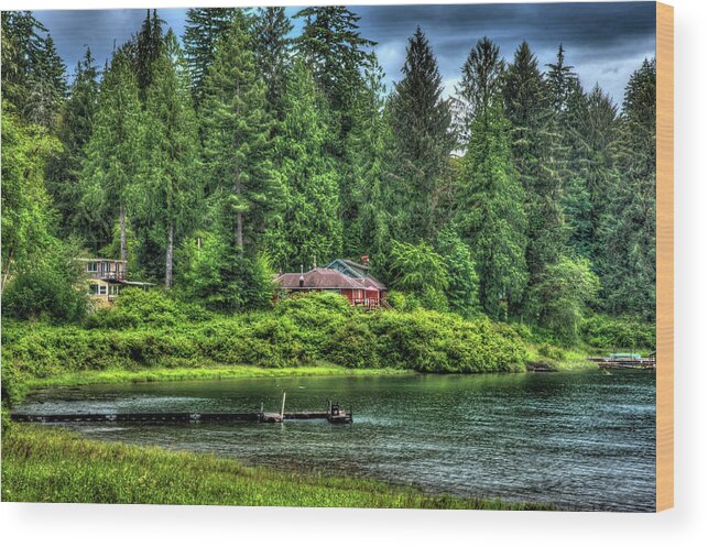 Grass Wood Print featuring the photograph Lake Quinault 3 by Richard J Cassato