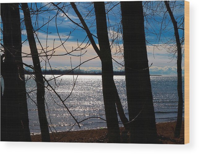 Sandy Wood Print featuring the photograph Lake Romance by Valentino Visentini