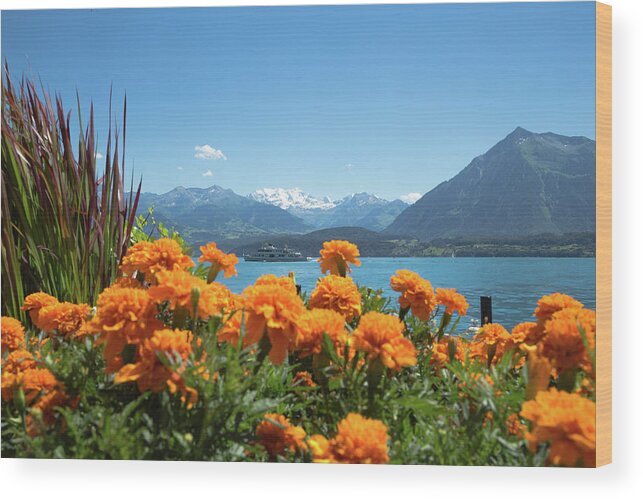 Lake Wood Print featuring the photograph Lake Thunersee by Andy Myatt